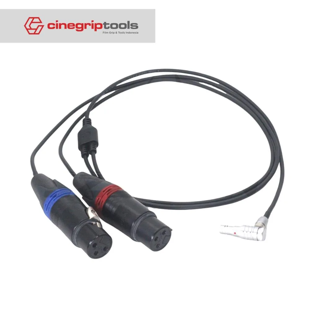 5pin Audio Plug To Double 3-Pin XLR Female Audio Cable 60CM