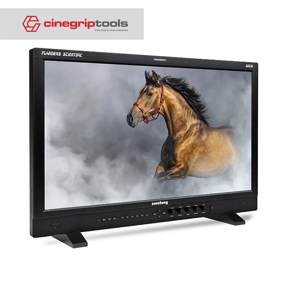Flanders scientific DM231 23.8" 1920x1080 LCD Monitor