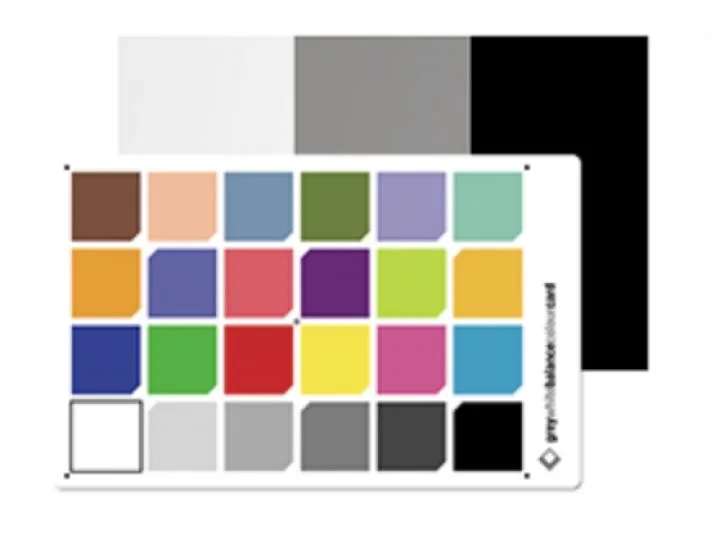 Colour Card 24 Postcard
