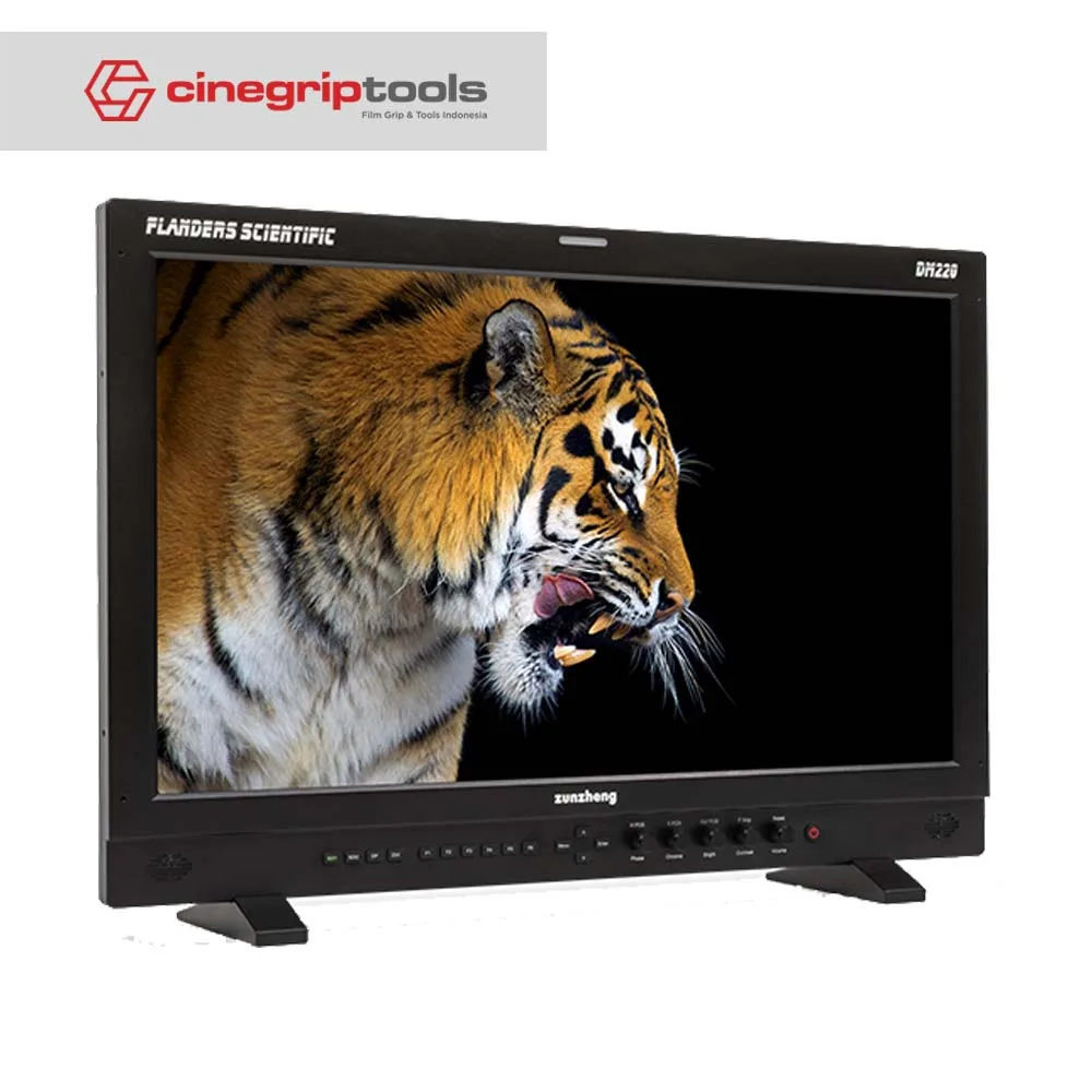 Flanders scientific DM220 21.6" 1920x1080 OLED Monitor